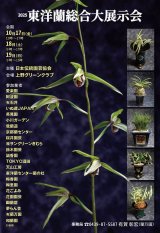 【2025 東洋蘭総合大展示会】のお知らせ